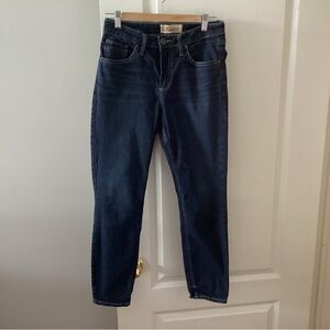 Silver Authentic Curvy High Skinny Jeans. B7